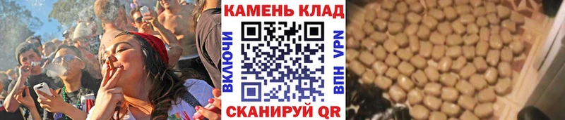 Купить закладку МАРИХУАНА A PVP ГАШИШ АМФЕТАМИН КОКАИН МЕФ Дмитровск