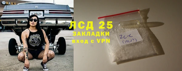 прущие грибы Арсеньев