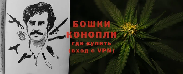 прущие грибы Арсеньев