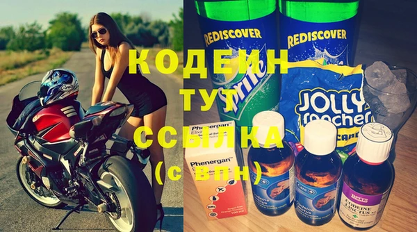 прущие грибы Арсеньев